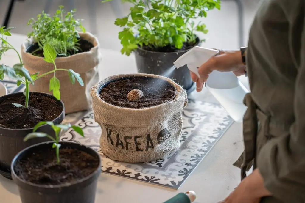 reciclaje y sostenibilidad