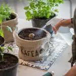 reciclaje y sostenibilidad